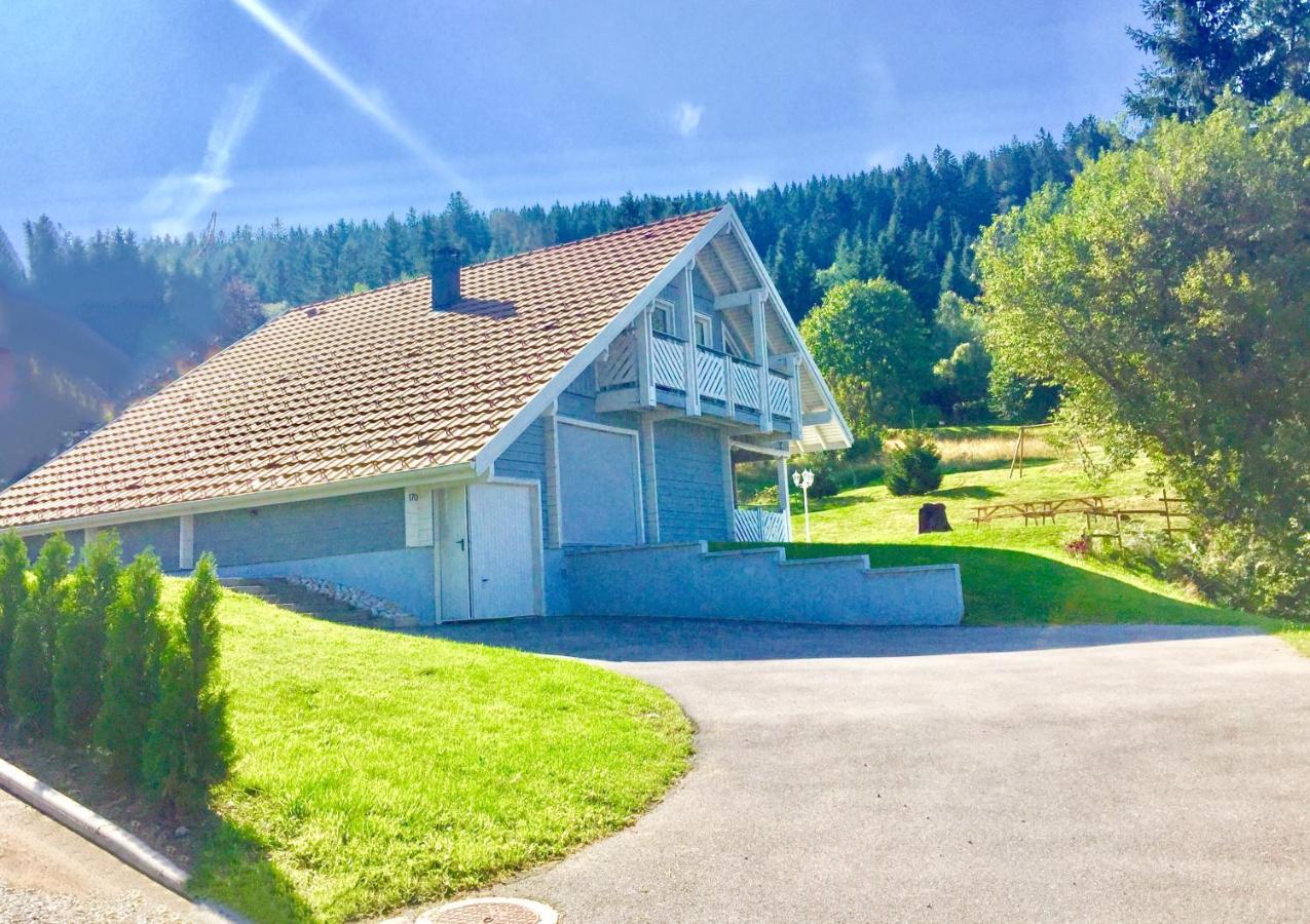Chalet Le Flocon Bleu - Mauselaine Avec Vue Sur Le Lac De 제라르메르 외부 사진