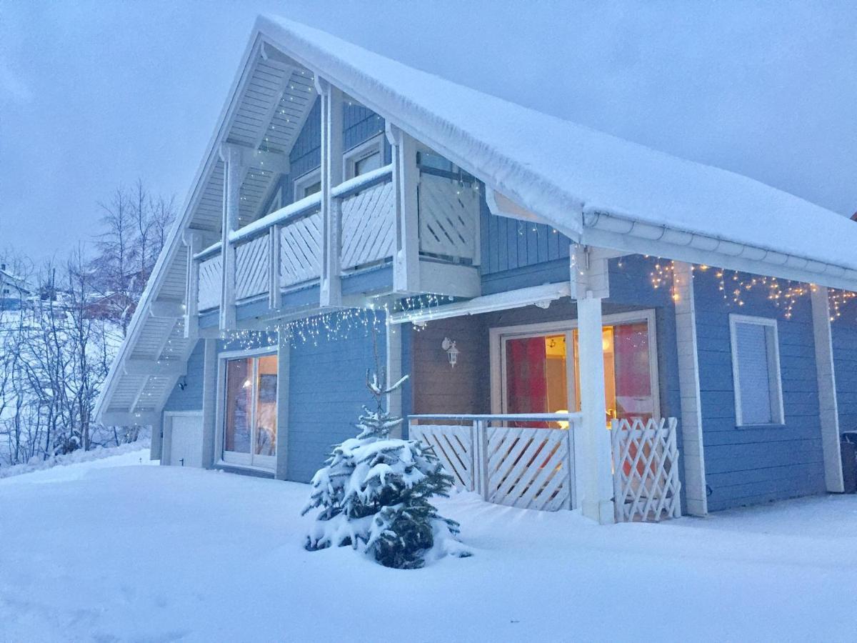 Chalet Le Flocon Bleu - Mauselaine Avec Vue Sur Le Lac De 제라르메르 외부 사진