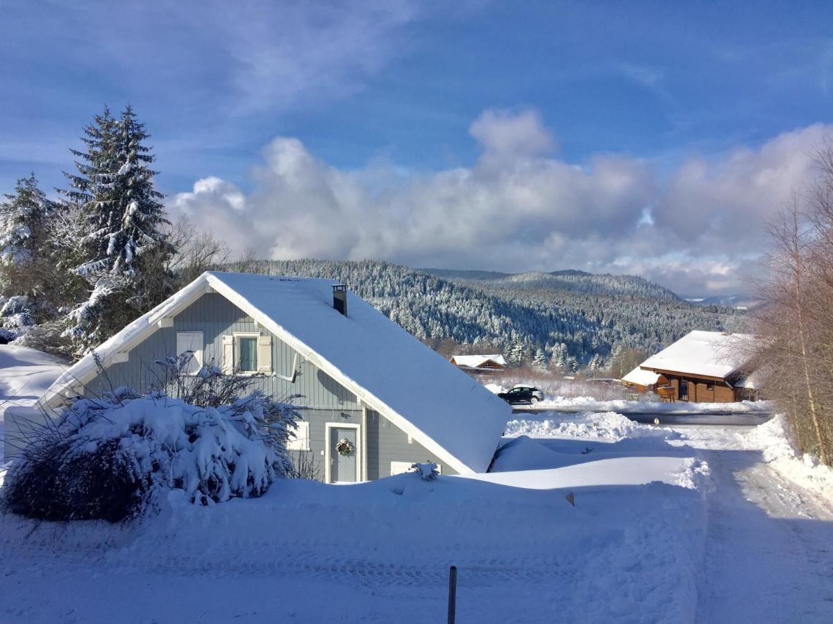 Chalet Le Flocon Bleu - Mauselaine Avec Vue Sur Le Lac De 제라르메르 외부 사진
