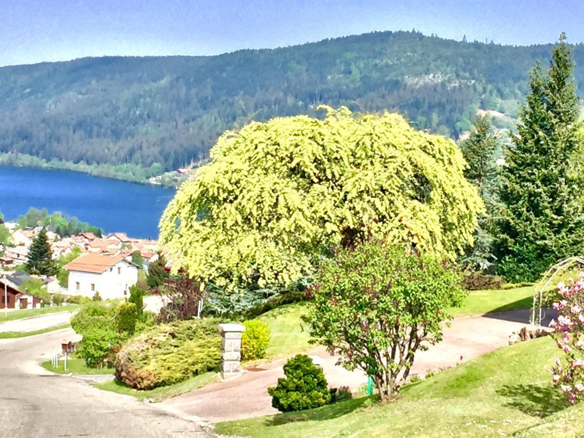 Chalet Le Flocon Bleu - Mauselaine Avec Vue Sur Le Lac De 제라르메르 외부 사진