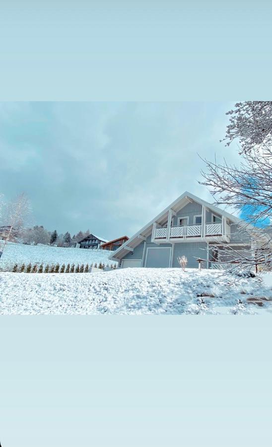 Chalet Le Flocon Bleu - Mauselaine Avec Vue Sur Le Lac De 제라르메르 외부 사진